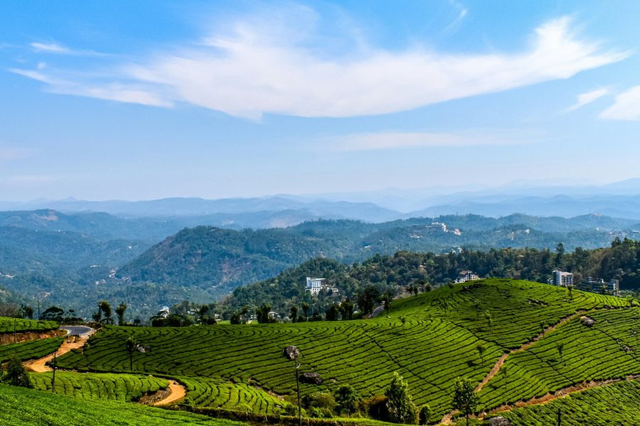 Enchanting Kerala: Tea gardens & Culture