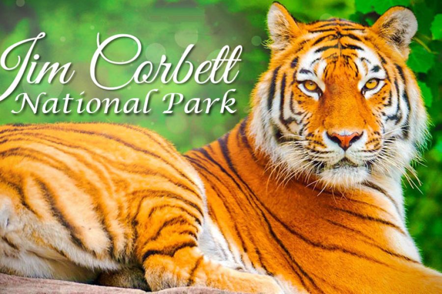 Corbett National Park