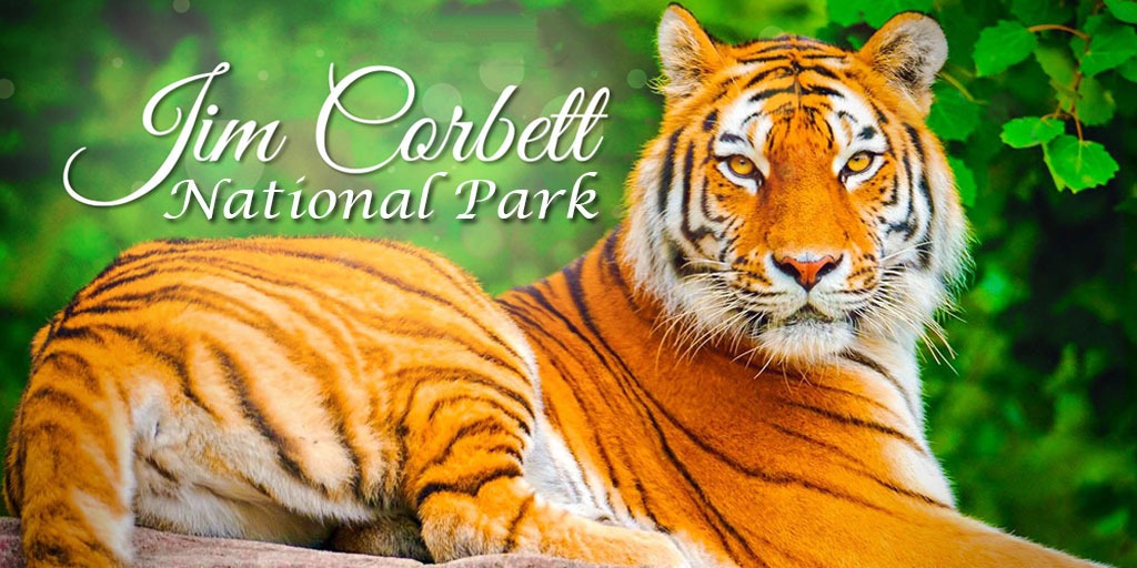 Corbett National Park