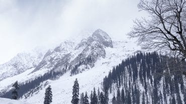 Kashmir