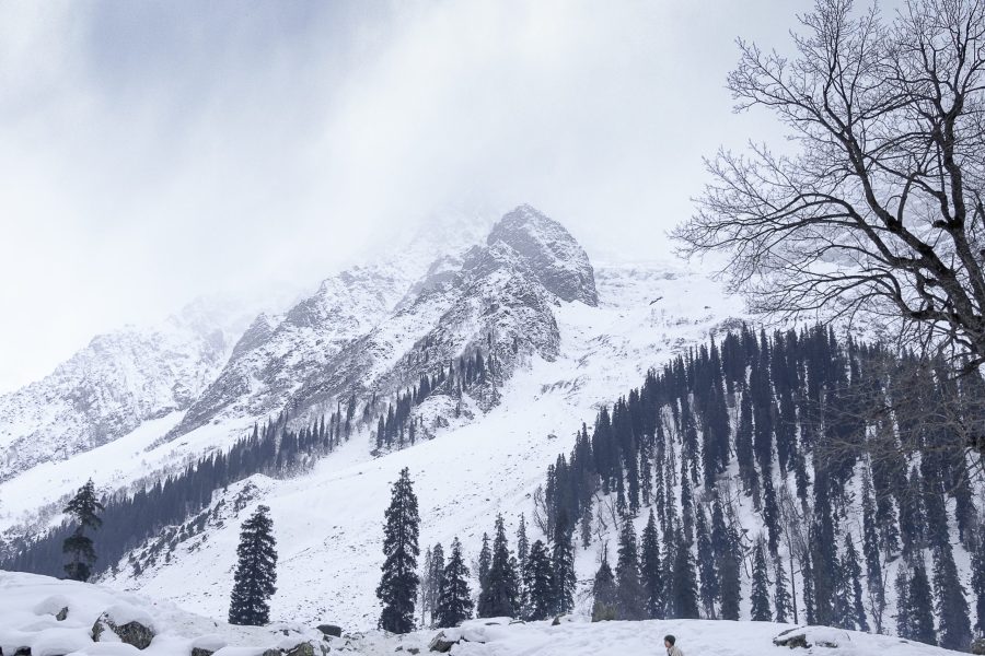 Kashmir: Serenity in the Valley of Paradise